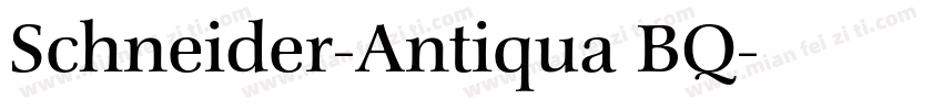 Schneider-Antiqua BQ字体转换